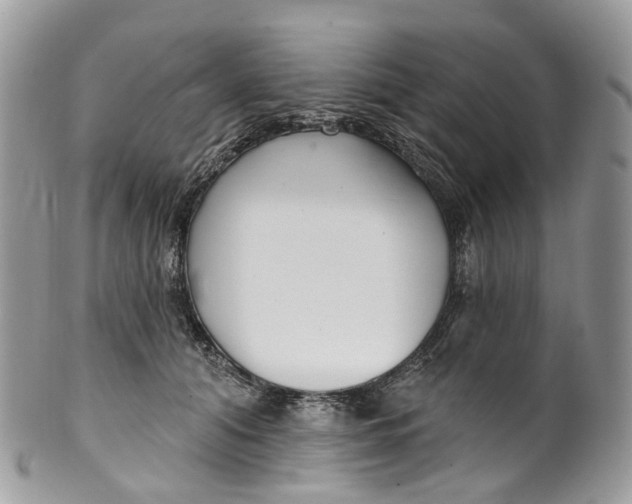 X0000099520608200806051213