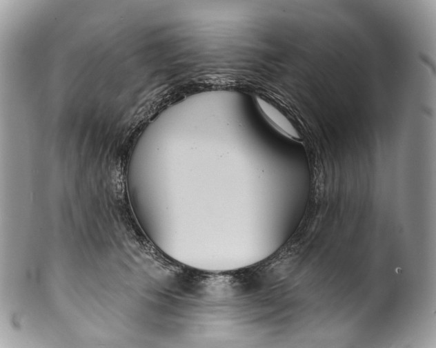 X0000099520609200806051213