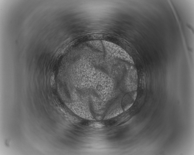 X0000099520610200806051213