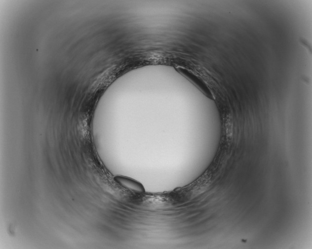 X0000099520611200806051213