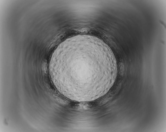 X0000099520612200806051213