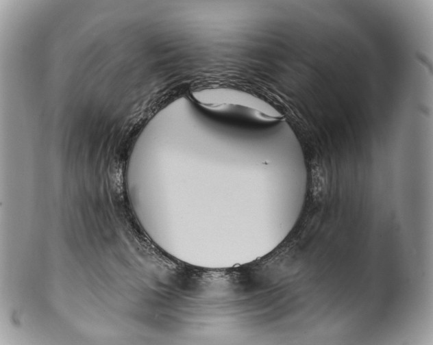 X0000099520613200806051213