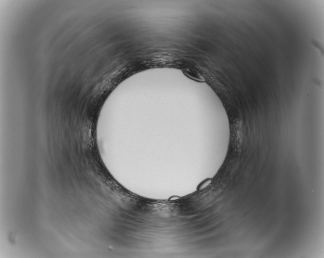 X0000099520615200806051213