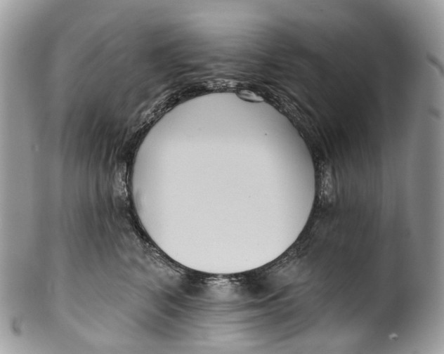 X0000099520616200806051213