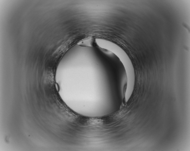 X0000099520617200806051213