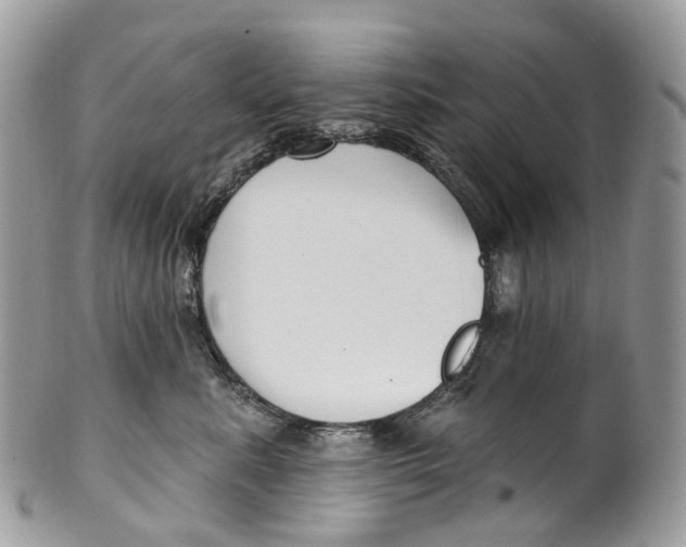 X0000099520619200806051212