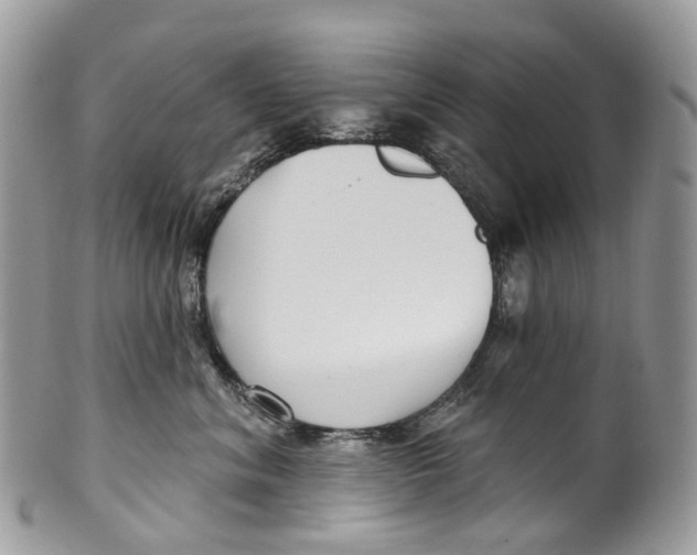 X0000099520620200806051212