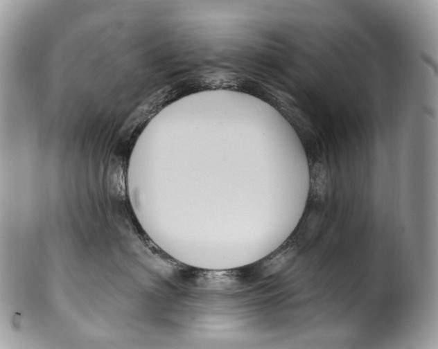 X0000099520622200806051212