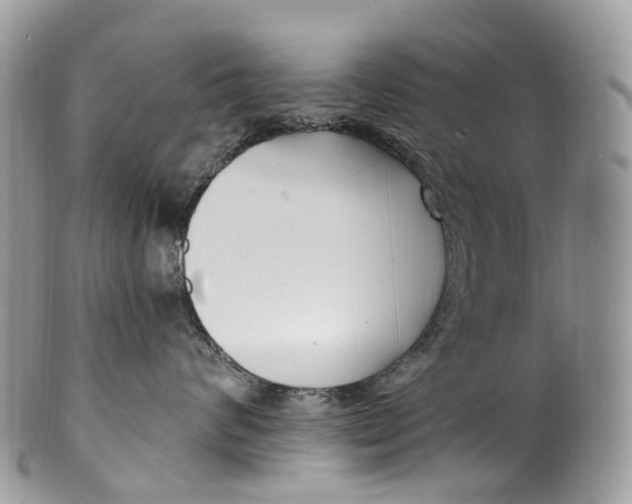 X0000099520624200806051212