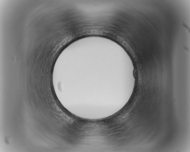 X0000099520625200806051212