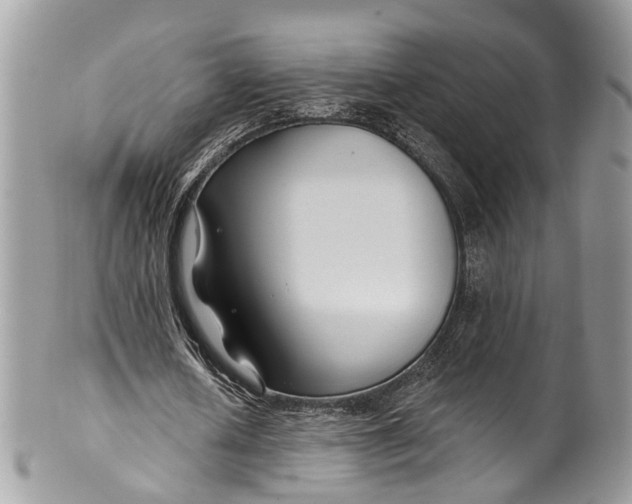 X0000099520626200806051212