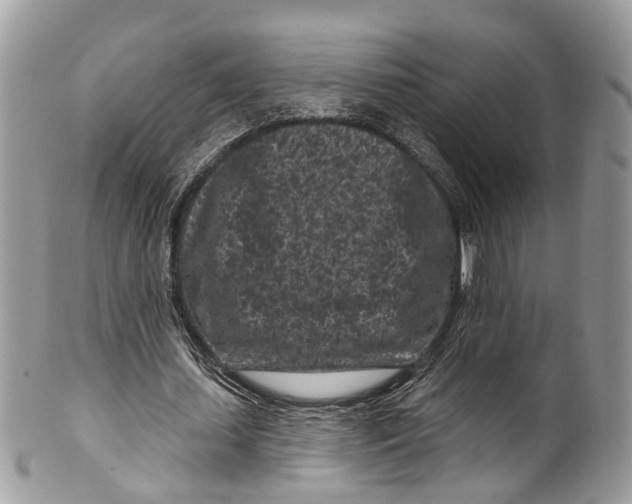 X0000099520627200806051212