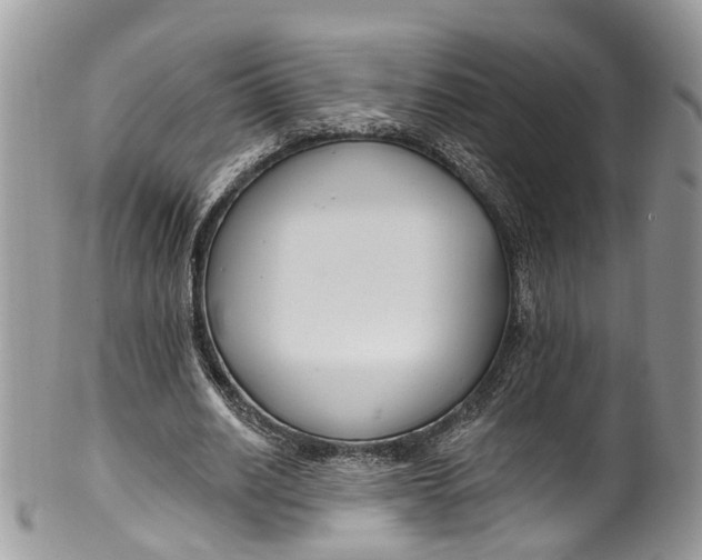 X0000099520630200806051212