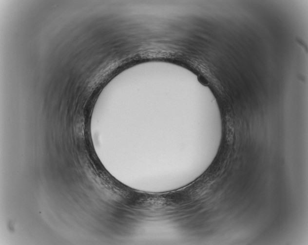 X0000099520631200806051212