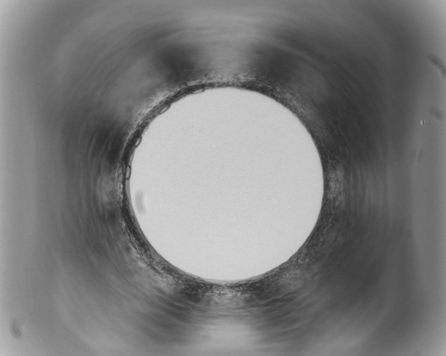 X0000099520632200806051212