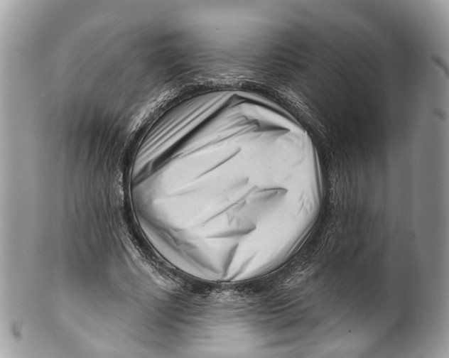 X0000099520634200806051212