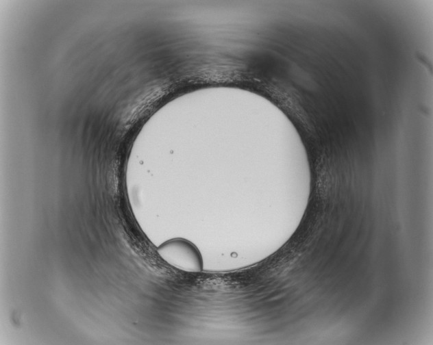 X0000099520635200806051212