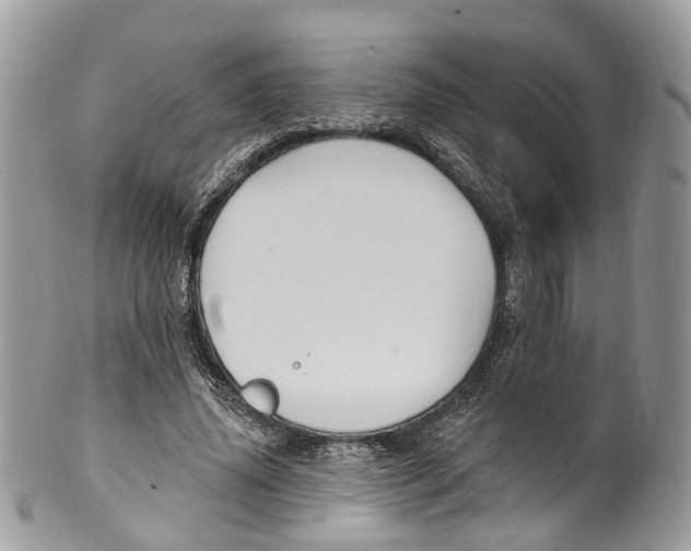 X0000099520636200806051212