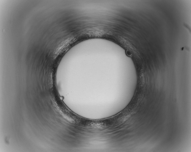 X0000099520638200806051212