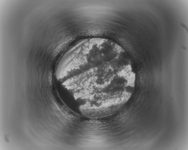 X0000099520640200806051212