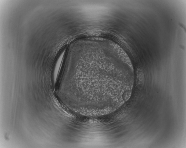 X0000099520641200806051212