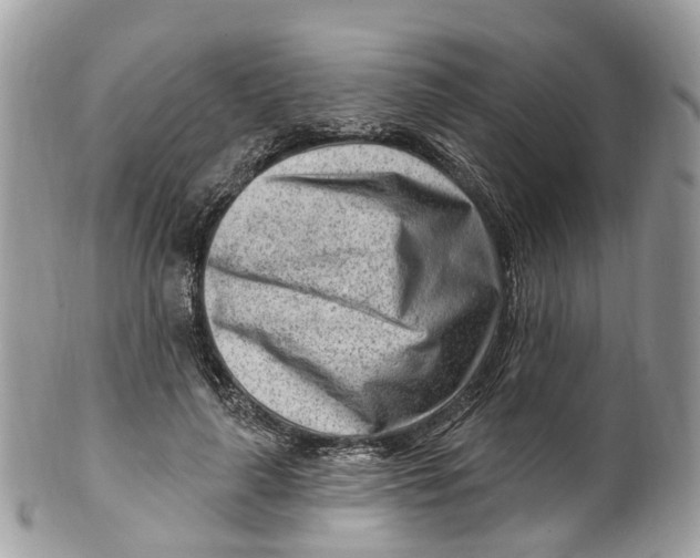 X0000099520643200806051212