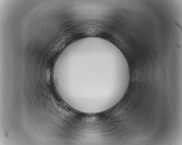 X0000099520646200806051212