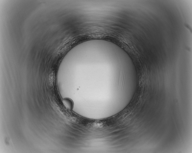 X0000099520647200806051212