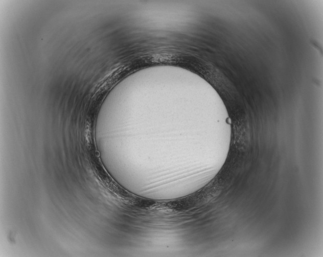 X0000099520648200806051212