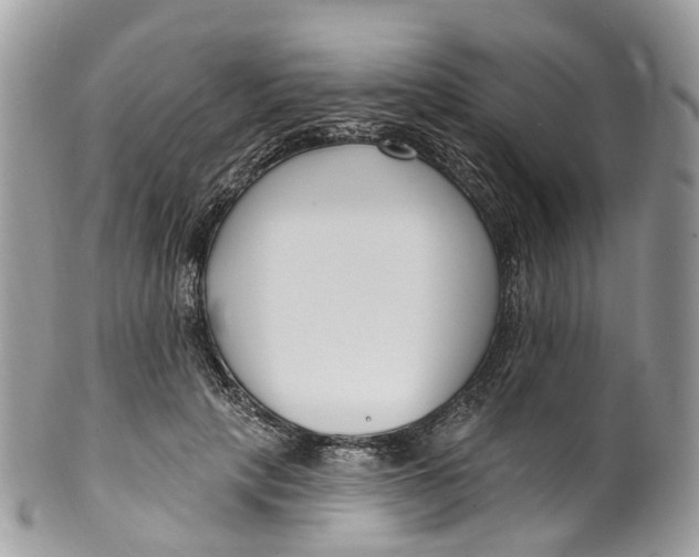 X0000099520649200806051212