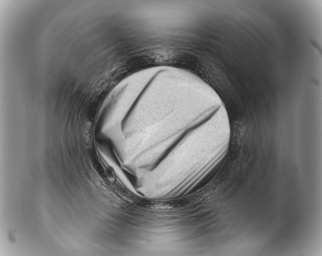 X0000099520650200806051212