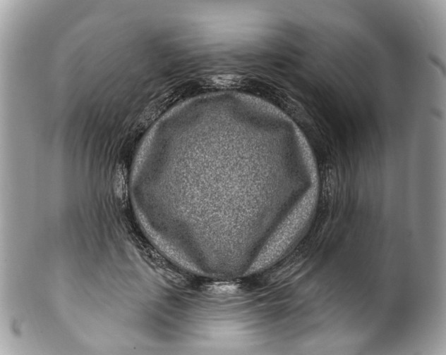 X0000099520651200806051212