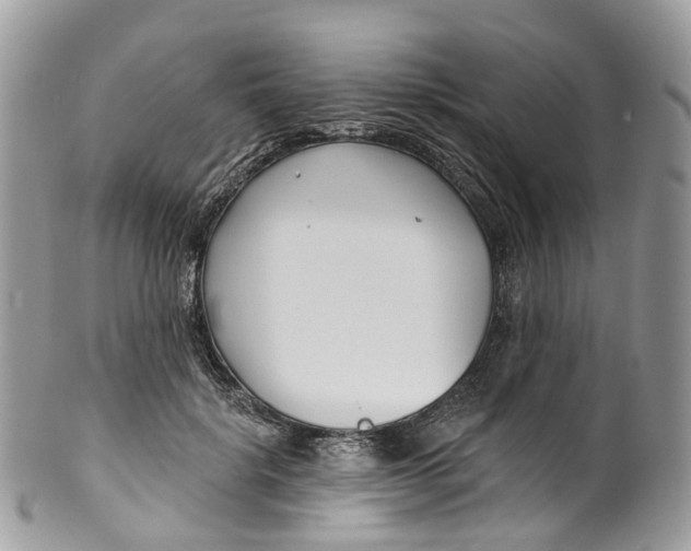 X0000099520652200806051212