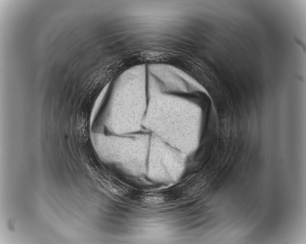 X0000099520653200806051212