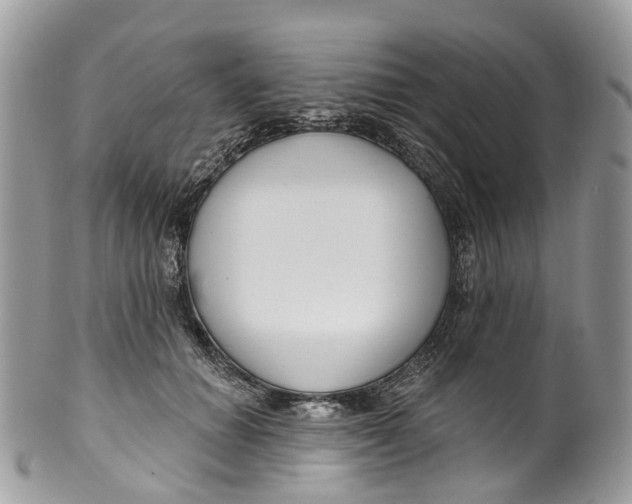 X0000099520654200806051212