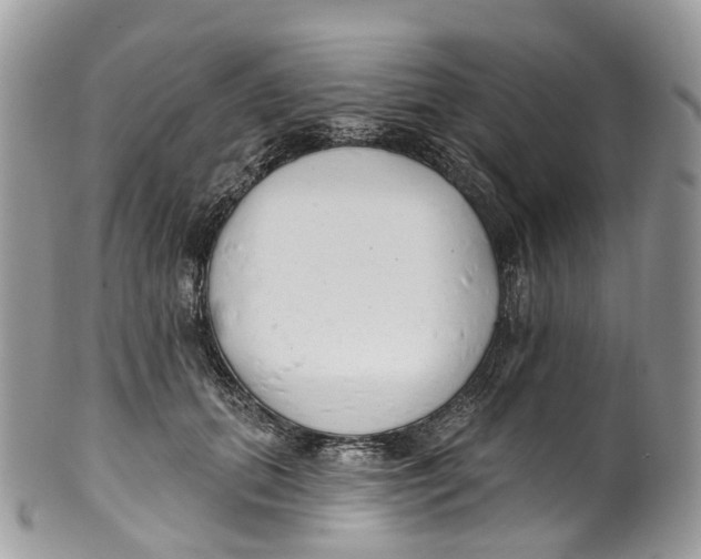 X0000099520655200806051212