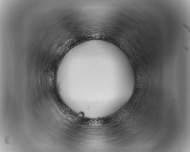 X0000099520656200806051212