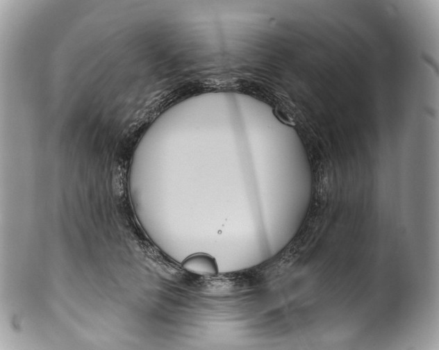 X0000099520658200806051212