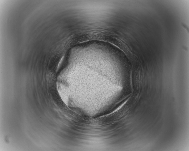 X0000099520659200806051212