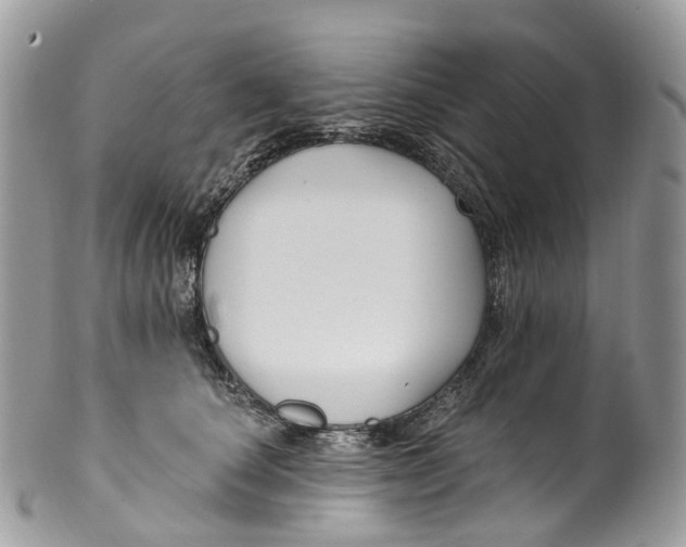 X0000099520660200806051212