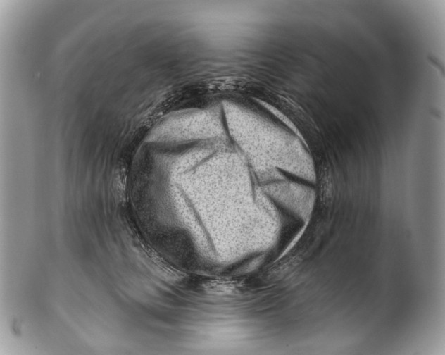 X0000099520661200806051212