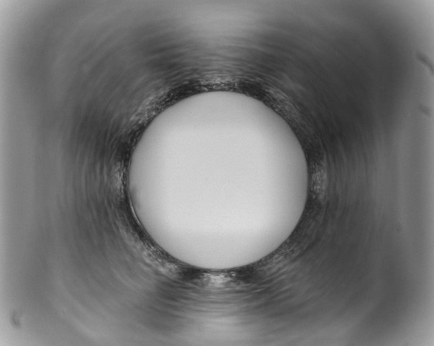 X0000099520662200806051212