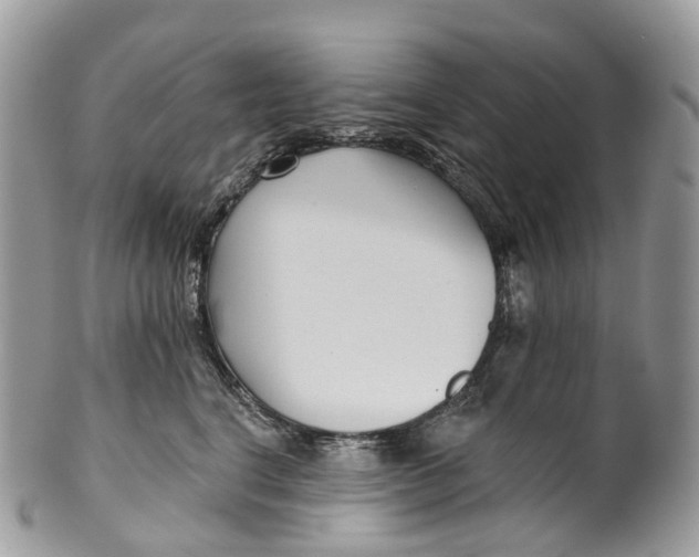 X0000099520664200806051212