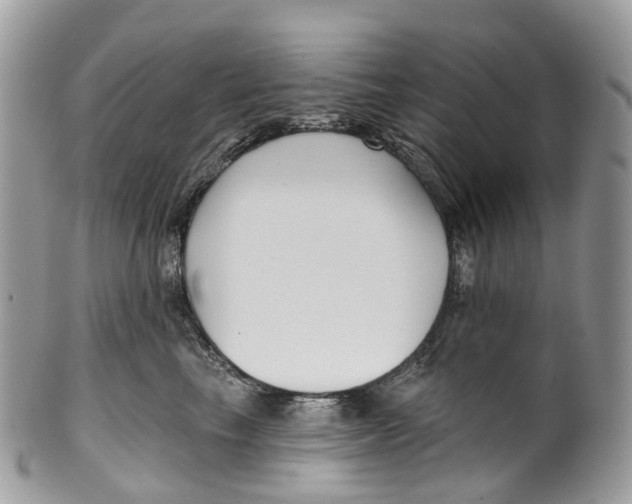 X0000099520665200806051212