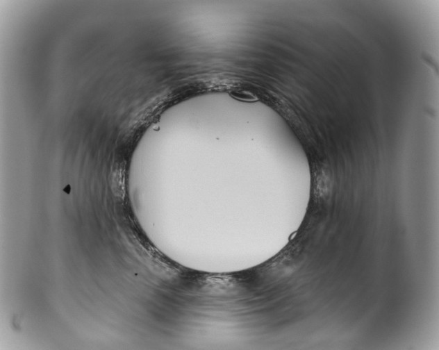 X0000099520666200806051212