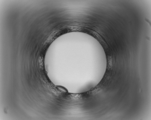 X0000099520667200806051212