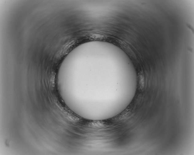 X0000099520668200806051212