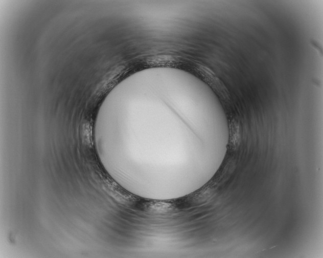 X0000099520669200806051212