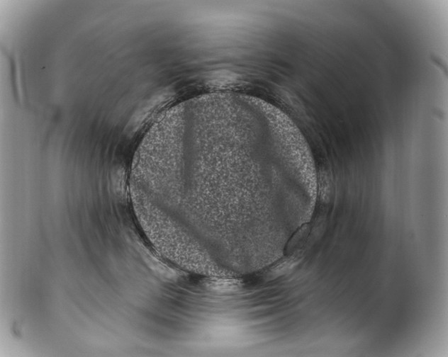 X0000099520670200806051212