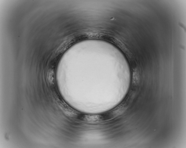 X0000099520671200806051212